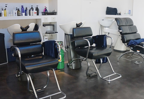 Salon Concept