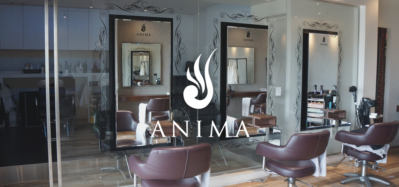 ANIMAhair